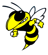 Newark Yellow Jacket.png